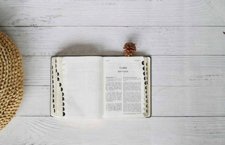 book of romans bible study questions and answers pdf